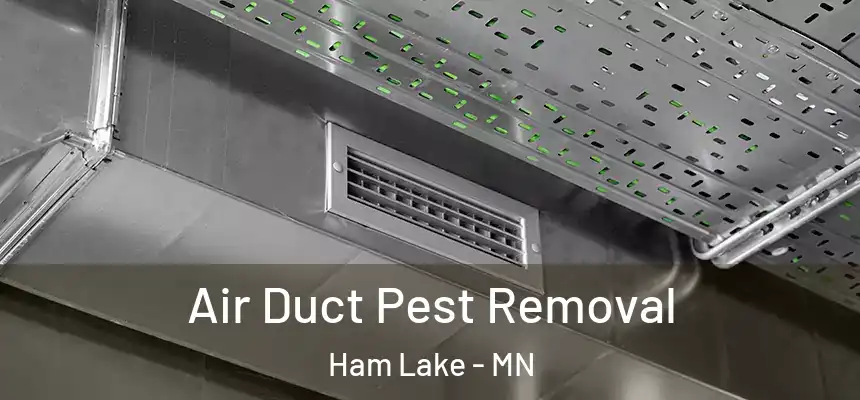  Air Duct Pest Removal Ham Lake - MN