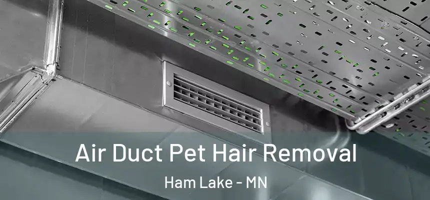 Air Duct Pet Hair Removal Ham Lake - MN