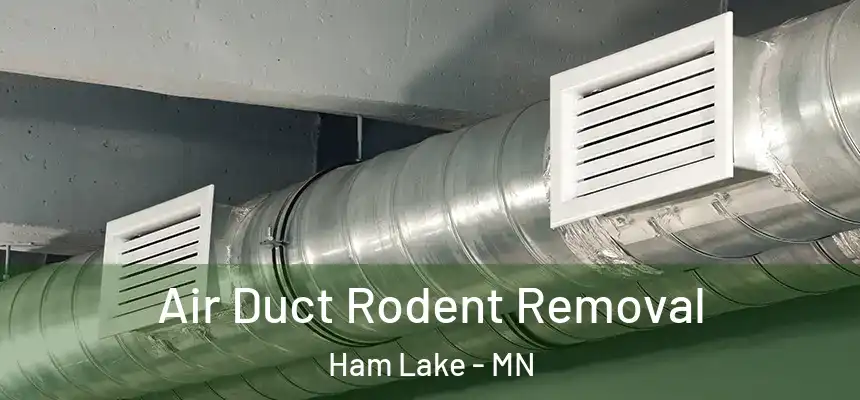 Air Duct Rodent Removal Ham Lake - MN