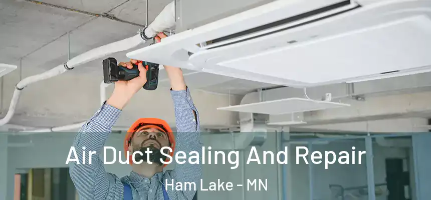 Air Duct Sealing And Repair Ham Lake - MN