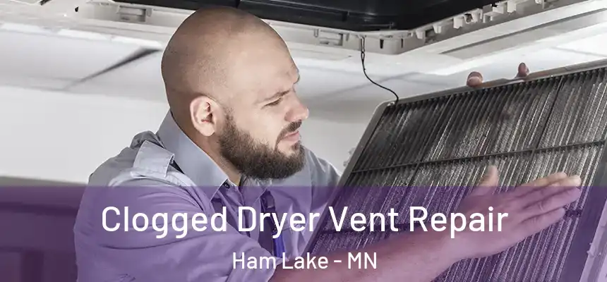  Clogged Dryer Vent Repair Ham Lake - MN