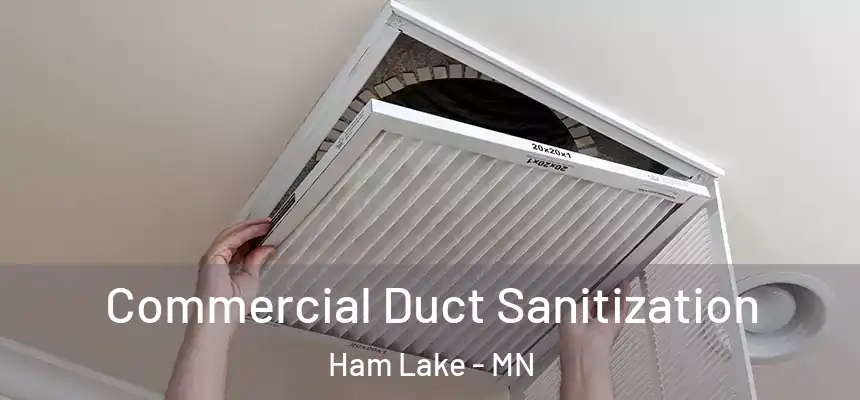 Commercial Duct Sanitization Ham Lake - MN