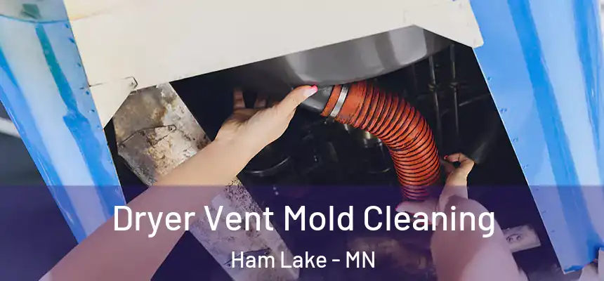 Dryer Vent Mold Cleaning Ham Lake - MN