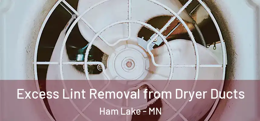Excess Lint Removal from Dryer Ducts Ham Lake - MN