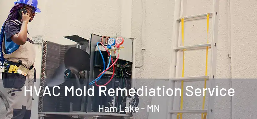 HVAC Mold Remediation Service Ham Lake - MN