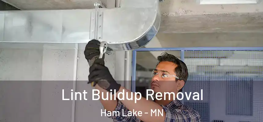 Lint Buildup Removal Ham Lake - MN