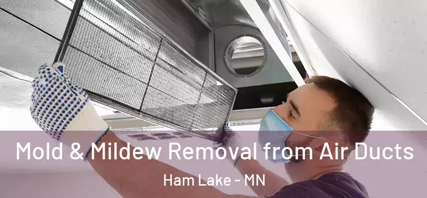 Mold & Mildew Removal from Air Ducts Ham Lake - MN