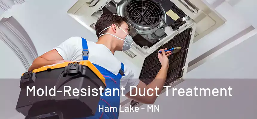 Mold-Resistant Duct Treatment Ham Lake - MN