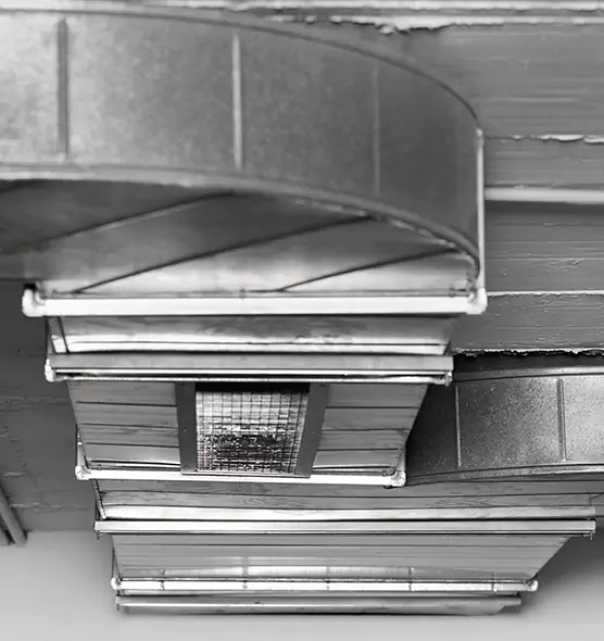 Professional Air Duct Pest Removal in Ham Lake, MN