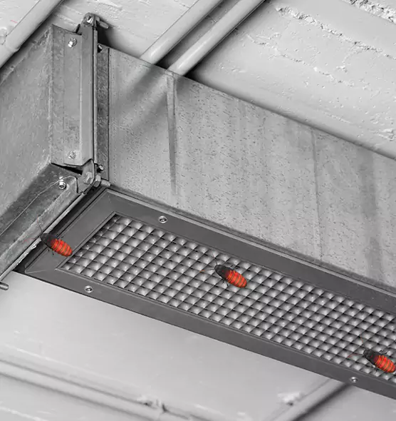 Affordable Insect Removal from Air Ducts in Ham Lake, MN