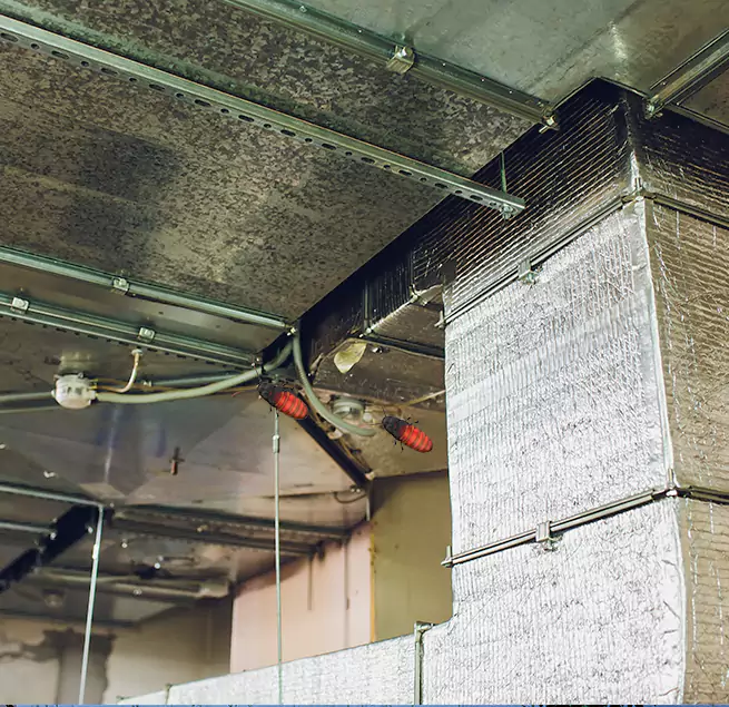 Why Homeowners & Businesses Trust Us in Ham Lake, MN?