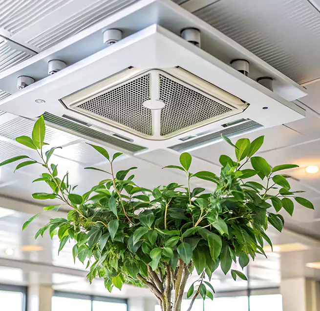 Why Homeowners & Businesses Trust Us in Ham Lake, MN