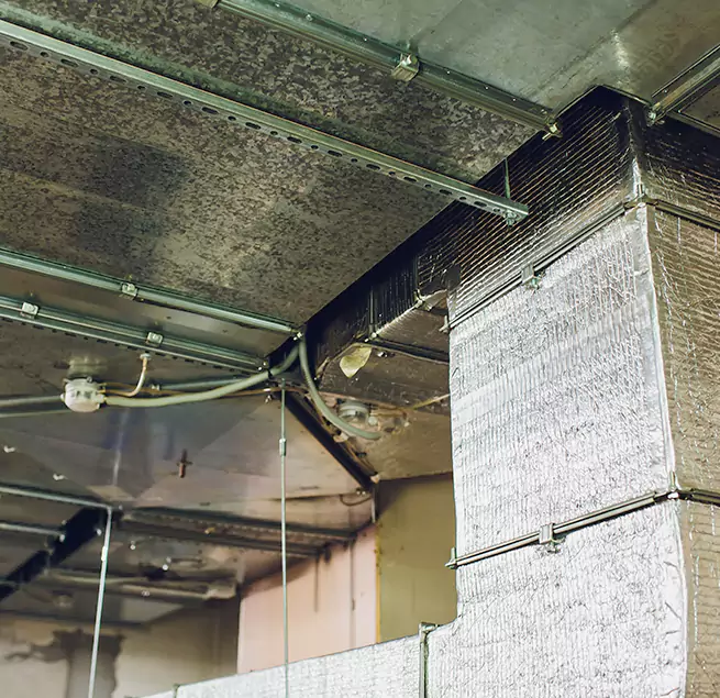 Why Homeowners & Businesses Trust Us in Ham Lake, MN?